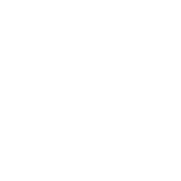 iOS LOGO